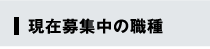現在募集中の職種